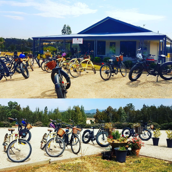 a group of people riding on the back of a bicycle